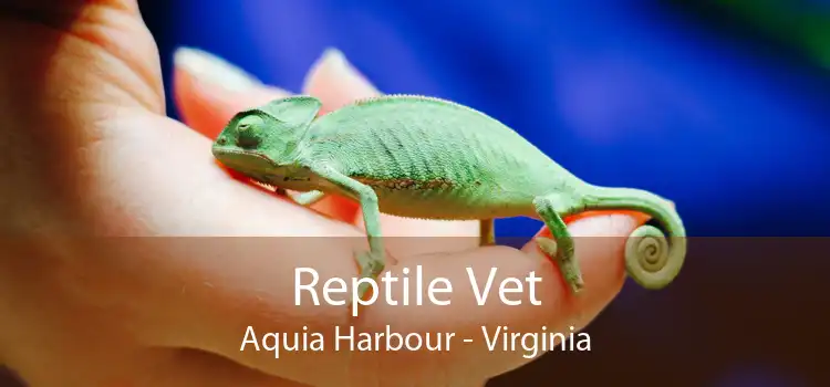 Reptile Vet Aquia Harbour - Virginia
