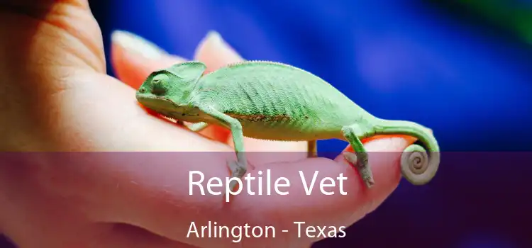 Reptile Vet Arlington - Texas