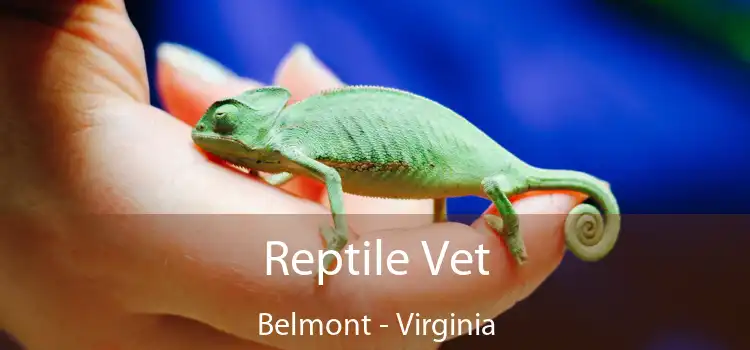 Reptile Vet Belmont - Virginia