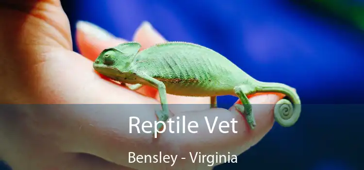 Reptile Vet Bensley - Virginia