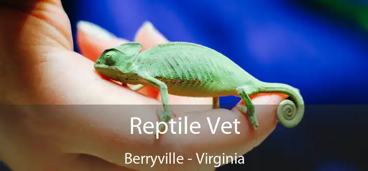 Reptile Vet Berryville - Virginia