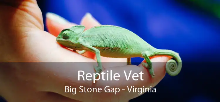 Reptile Vet Big Stone Gap - Virginia