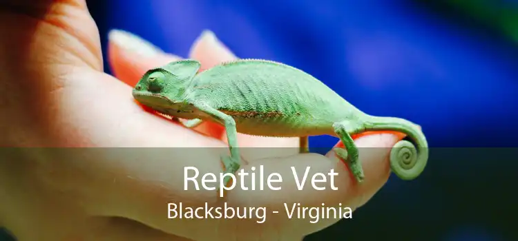 Reptile Vet Blacksburg - Virginia