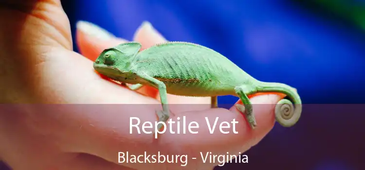 Reptile Vet Blacksburg - Virginia