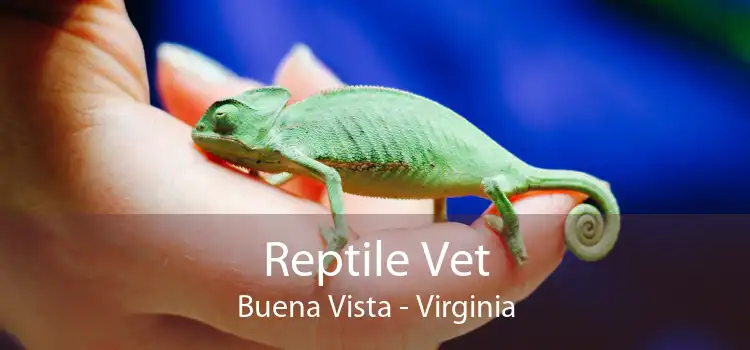 Reptile Vet Buena Vista - Virginia