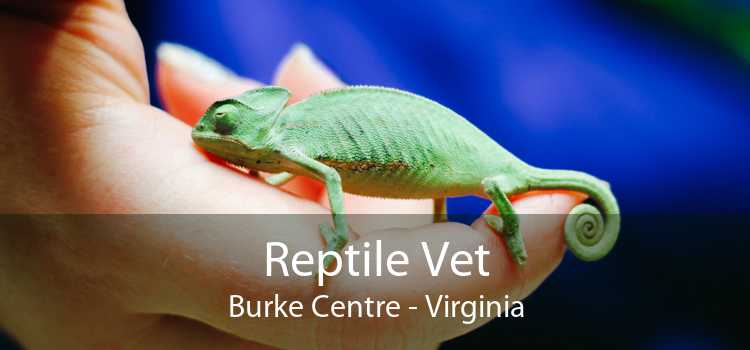 Reptile Vet Burke Centre - Virginia