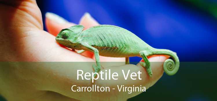 Reptile Vet Carrollton - Virginia