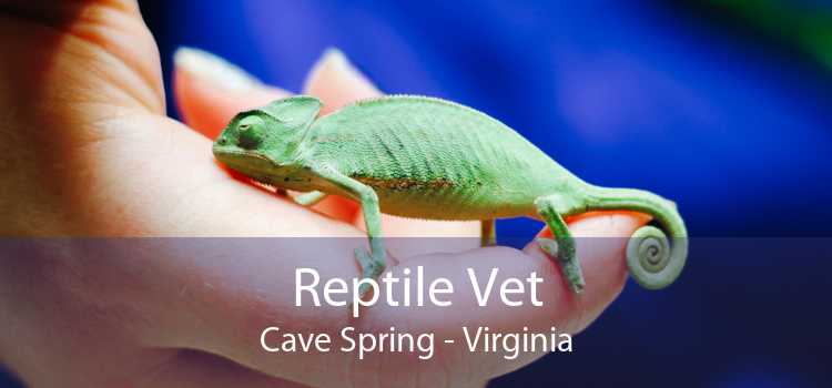 Reptile Vet Cave Spring - Virginia