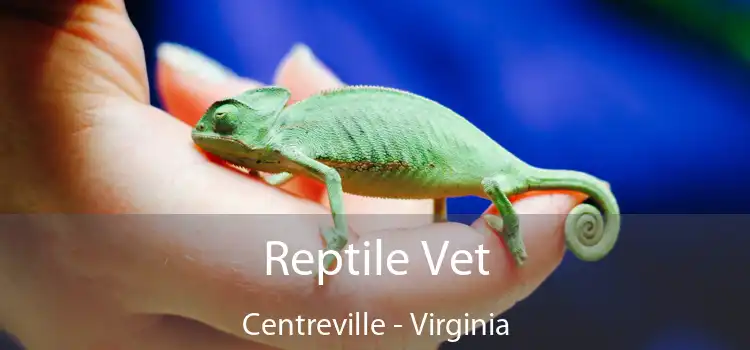 Reptile Vet Centreville - Virginia