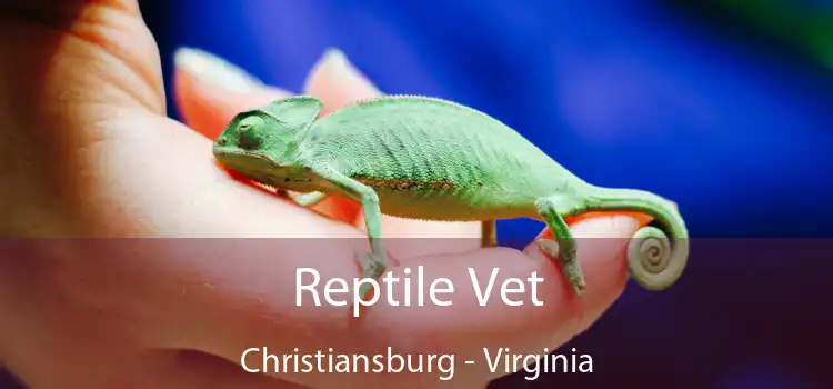 Reptile Vet Christiansburg - Virginia