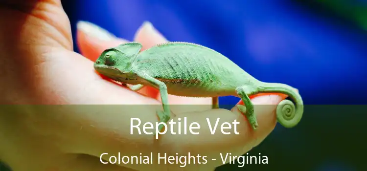 Reptile Vet Colonial Heights - Virginia