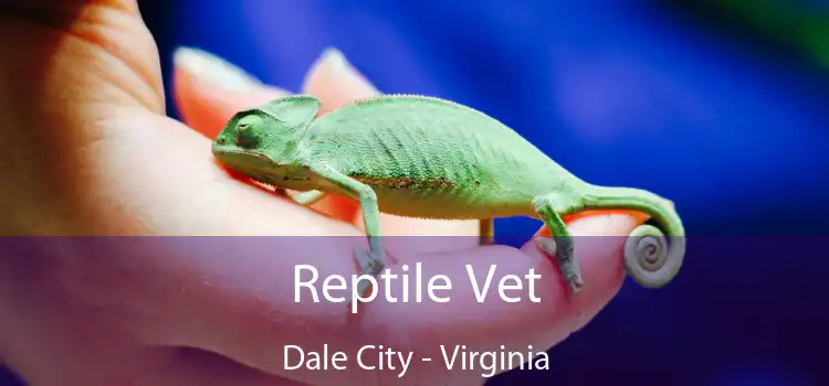 Reptile Vet Dale City - Virginia