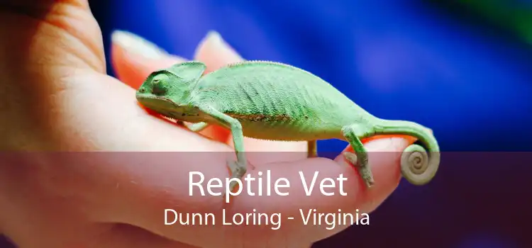 Reptile Vet Dunn Loring - Virginia