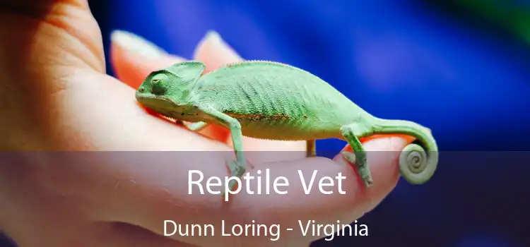 Reptile Vet Dunn Loring - Virginia