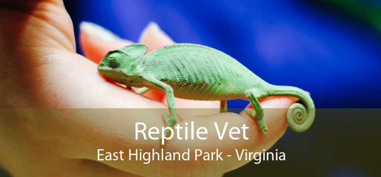 Reptile Vet East Highland Park - Virginia