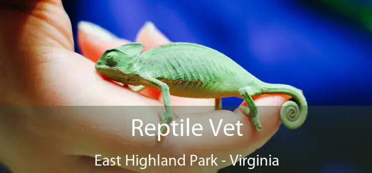 Reptile Vet East Highland Park - Virginia