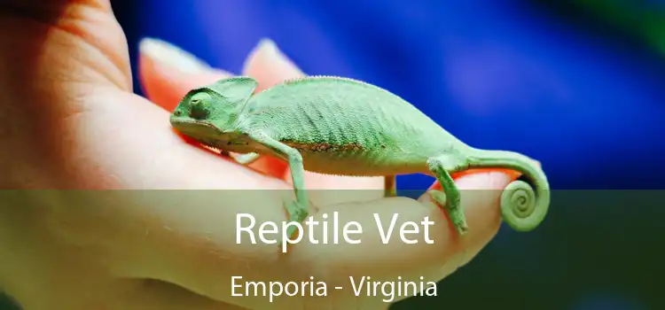 Reptile Vet Emporia - Virginia