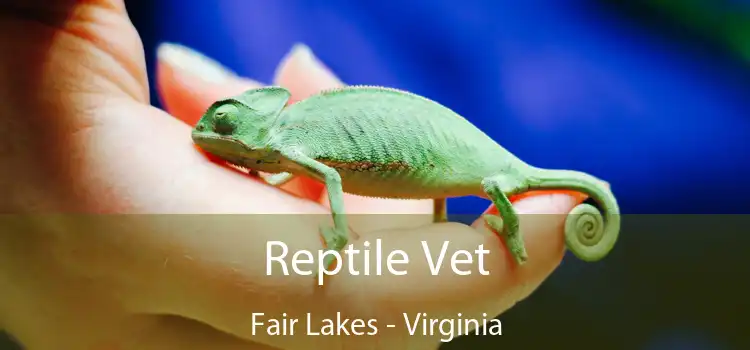 Reptile Vet Fair Lakes - Virginia