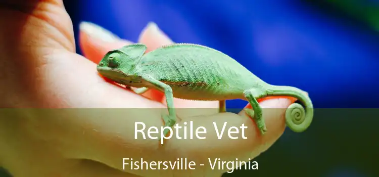 Reptile Vet Fishersville - Virginia