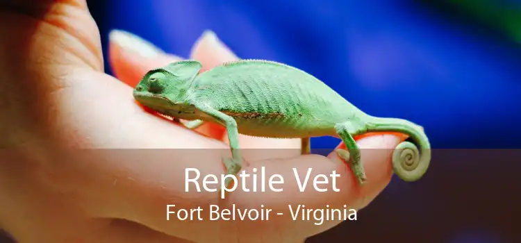 Reptile Vet Fort Belvoir - Virginia