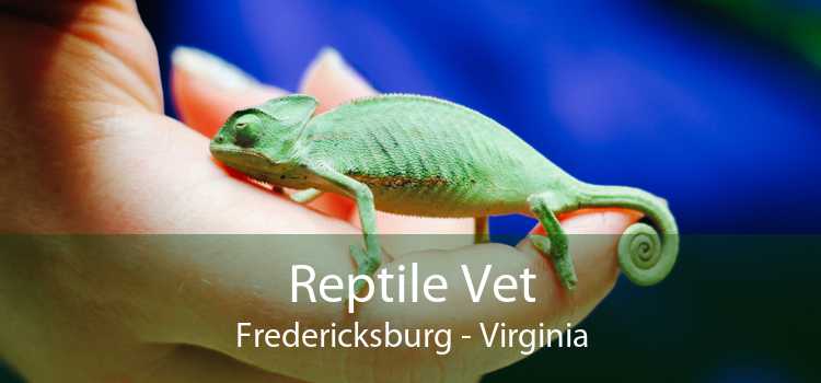 Reptile Vet Fredericksburg - Virginia
