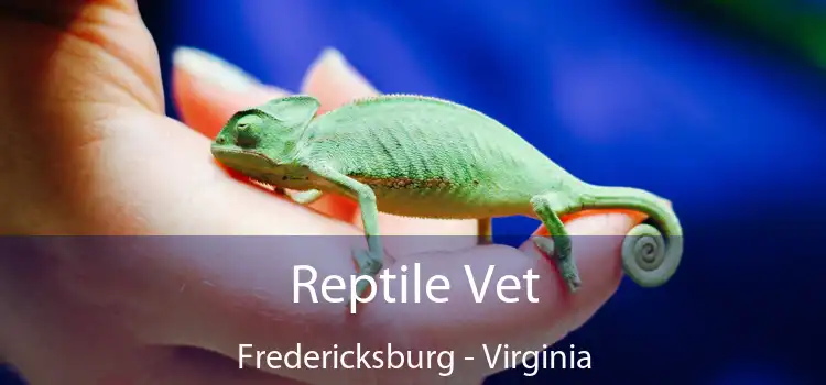 Reptile Vet Fredericksburg - Virginia