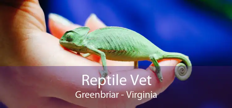Reptile Vet Greenbriar - Virginia