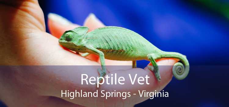 Reptile Vet Highland Springs - Virginia