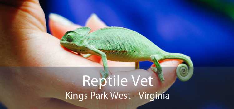 Reptile Vet Kings Park West - Virginia