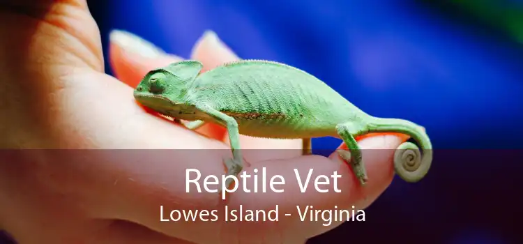 Reptile Vet Lowes Island - Virginia