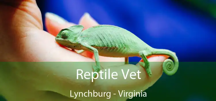 Reptile Vet Lynchburg - Virginia