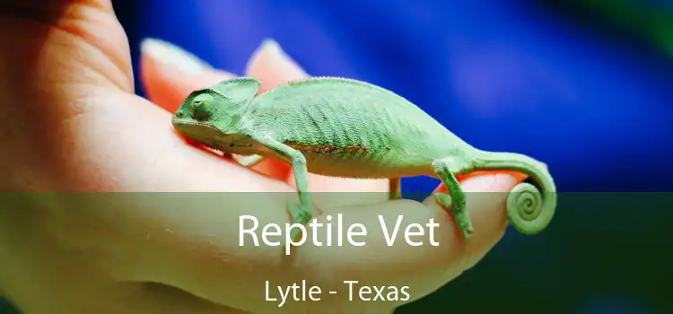 Reptile Vet Lytle - Texas