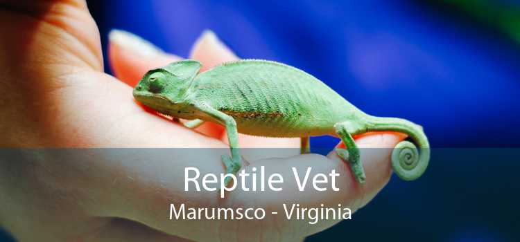 Reptile Vet Marumsco - Virginia
