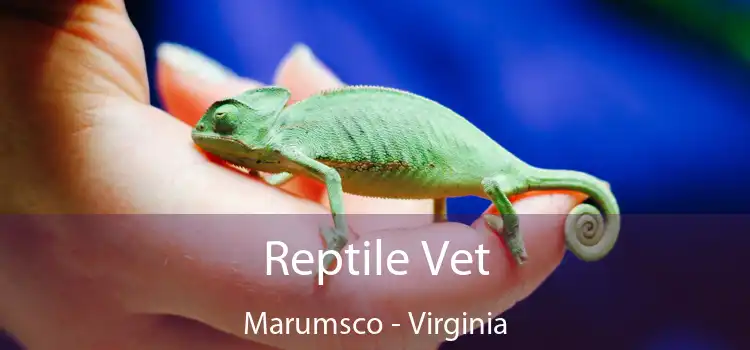 Reptile Vet Marumsco - Virginia