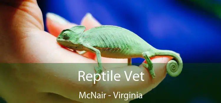 Reptile Vet McNair - Virginia