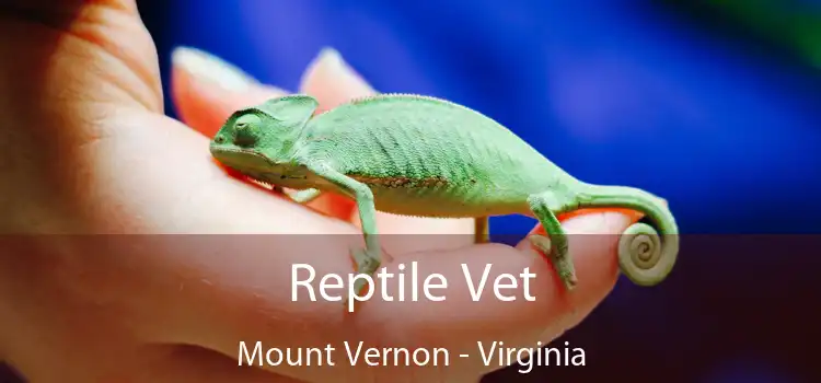 Reptile Vet Mount Vernon - Virginia