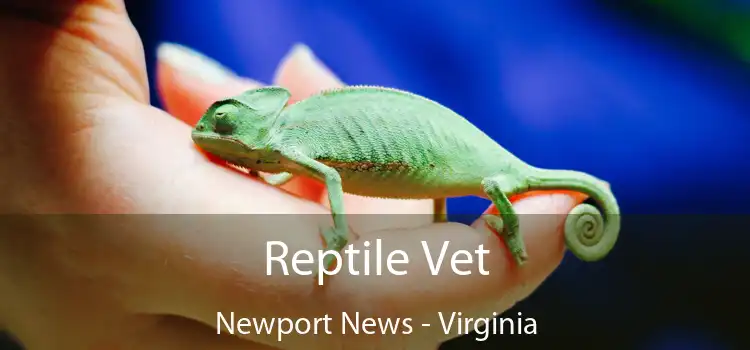 Reptile Vet Newport News - Virginia