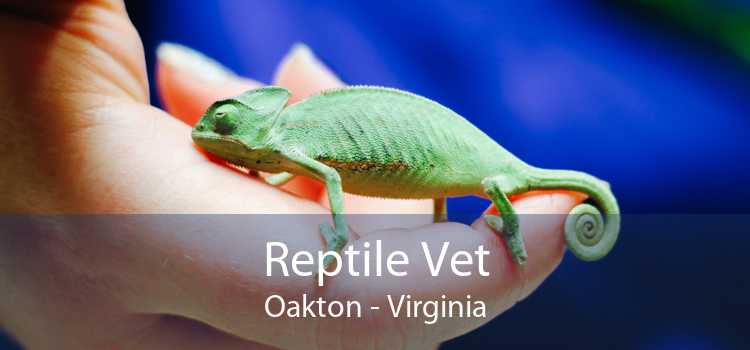 Reptile Vet Oakton - Virginia