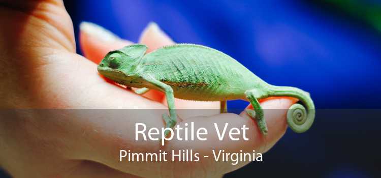 Reptile Vet Pimmit Hills - Virginia