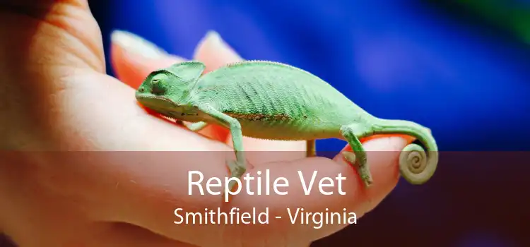 Reptile Vet Smithfield - Virginia