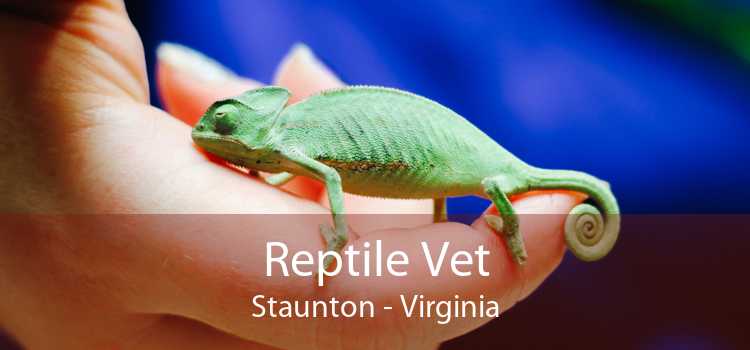 Reptile Vet Staunton - Virginia