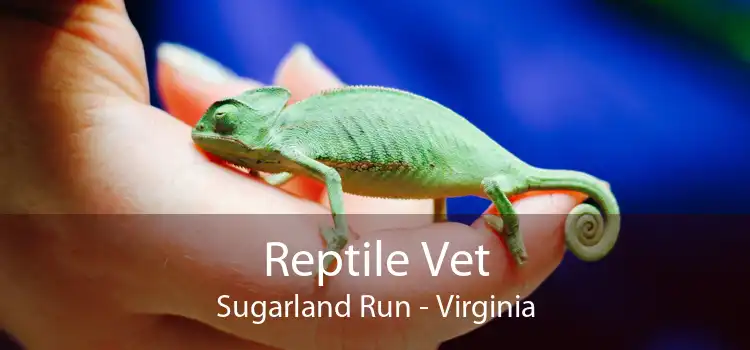 Reptile Vet Sugarland Run - Virginia