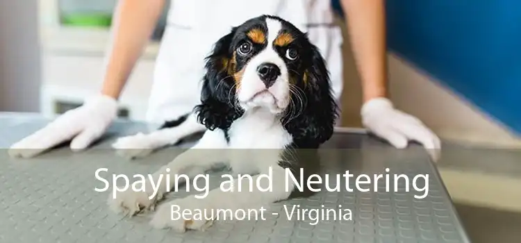 Spaying and Neutering Beaumont - Virginia