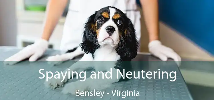 Spaying and Neutering Bensley - Virginia