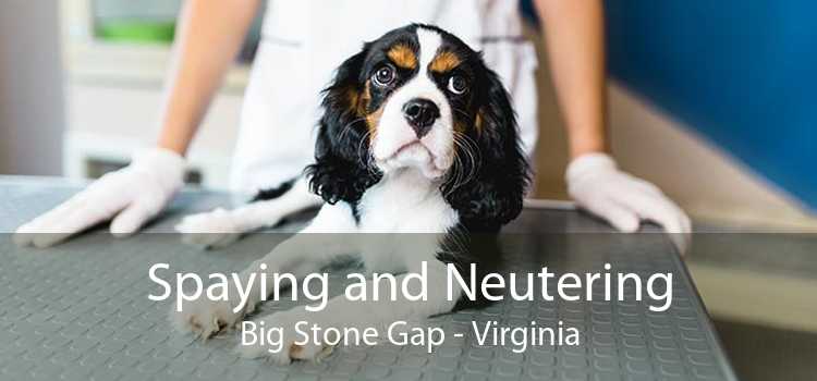 Spaying and Neutering Big Stone Gap - Virginia