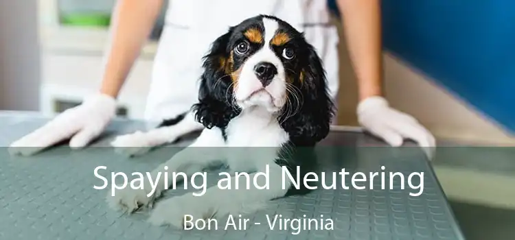 Spaying and Neutering Bon Air - Virginia