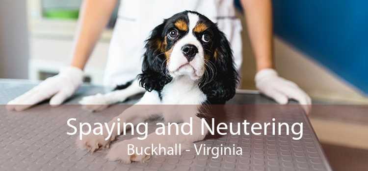 Spaying and Neutering Buckhall - Virginia