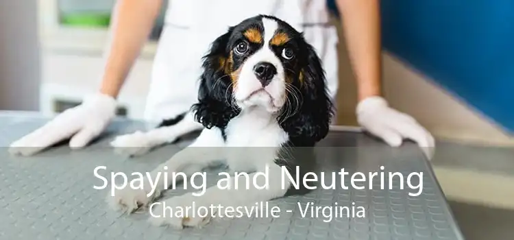 Spaying and Neutering Charlottesville - Virginia