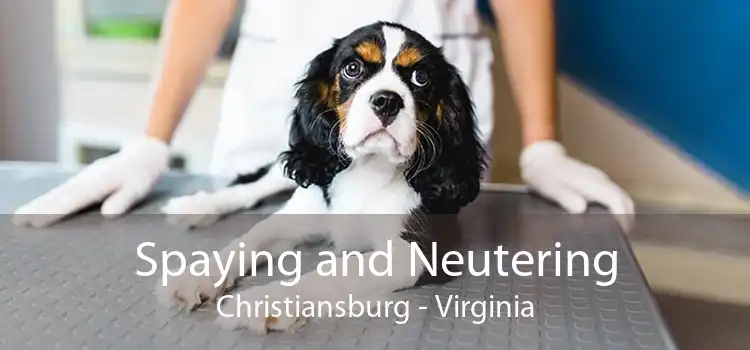 Spaying and Neutering Christiansburg - Virginia