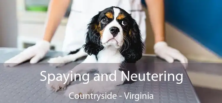 Spaying and Neutering Countryside - Virginia